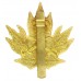 Canadian Army Physical Training Corps Cap Badge