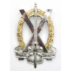 Tayforth University O.T.C. Anodised (Staybrite) Cap Badge