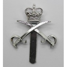 Army Physical Training Corps (A.P.T.C.) Anodised (Staybrite) Cap Badge - Queen's Crown