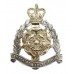 Hampshire & Isle of Wight Territorials Anodised (Staybrite) Cap Badge