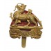 Royal Berkshire Regiment Cap Badge