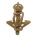 Royal Irish Regiment Cap Badge - King's Crown