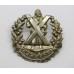 Queen's Own Cameron Highlanders Cap Badge