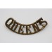 Queen's Royal West Surrey Regiment (QUEEN'S) Shoulder Title