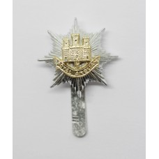 Royal Anglian Regiment Anodised (Staybrite) Cap Badge