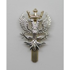 Mercian Regiment Anodised (Staybrite) Cap Badge