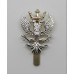 Mercian Regiment Anodised (Staybrite) Cap Badge