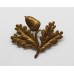 South Notts Hussars Cap Badge