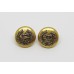 Pair of Hampshire Regiment Officer's Cap Buttons