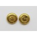 Pair of Hampshire Regiment Officer's Cap Buttons