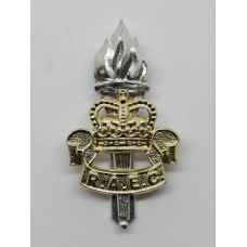 Royal Army Educational Corps (R.A.E.C.) Anodised (Staybrite) Cap Badge - Queen's Crown