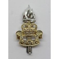 Royal Army Educational Corps (R.A.E.C.) Anodised (Staybrite) Cap Badge